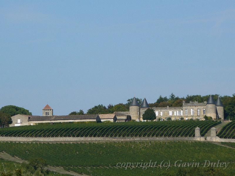 Vineyards near Saint-Émilion P1140415.JPG